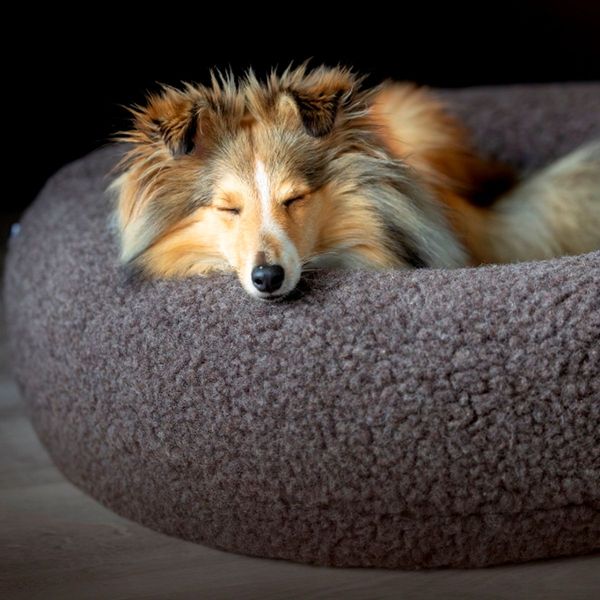 Hovedbilde Canelana rund hundeseng i 100% ull